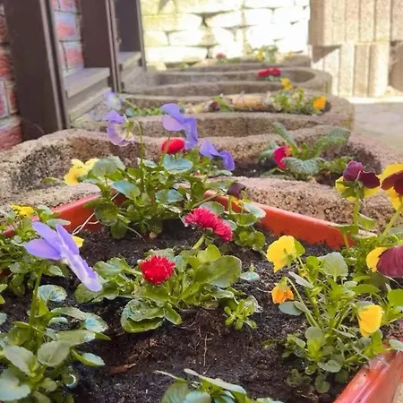 Have A Time 아파트 바트벤트하임