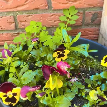 아파트 Have A Time 바트벤트하임